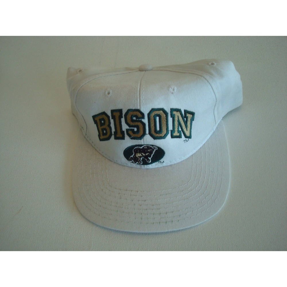 NORTH DAKOTA THE GAME SPLT BAR SCRIPT 90S SNAPBACK GOLF HAT CAP VINTAGE EE3